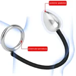 metal anal plug ergonomic design