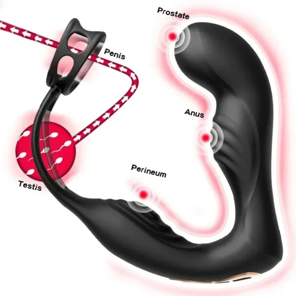 waterproof dual motor prostate toy