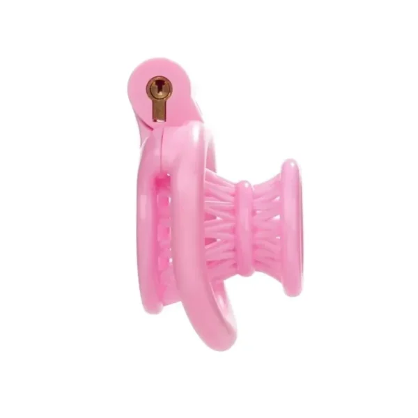 adult male chastity resin control