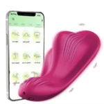 app controlled wearable pleasure toy