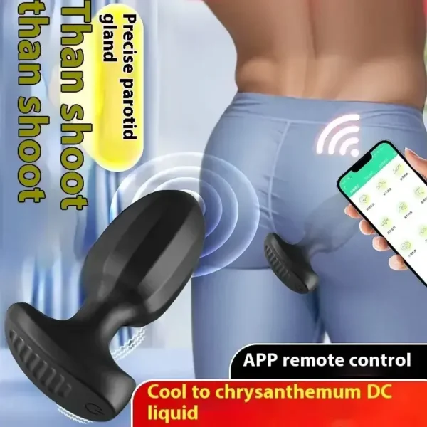 app interactive anal plug toy