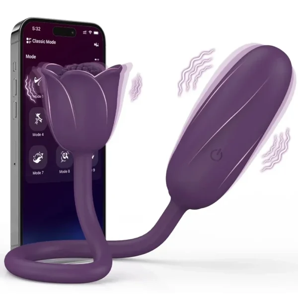 app remote control vibrator egg
