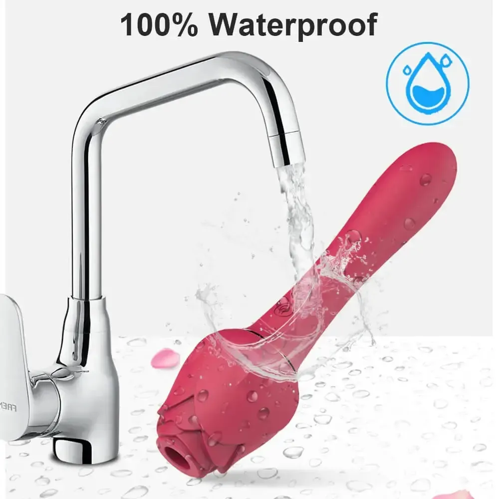 clitoral sucking and vaginal vibration