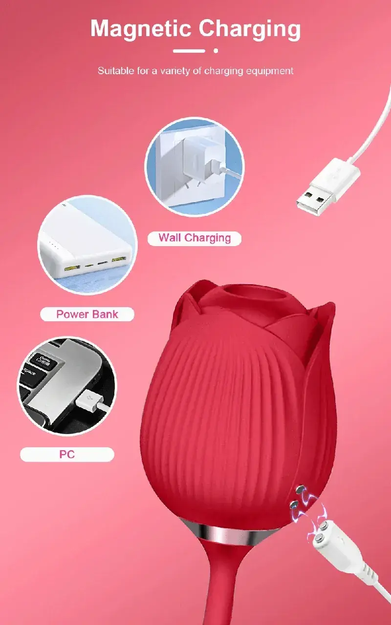 dual flirting internal external vibrator