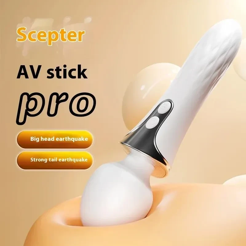 dual motor waterproof wand