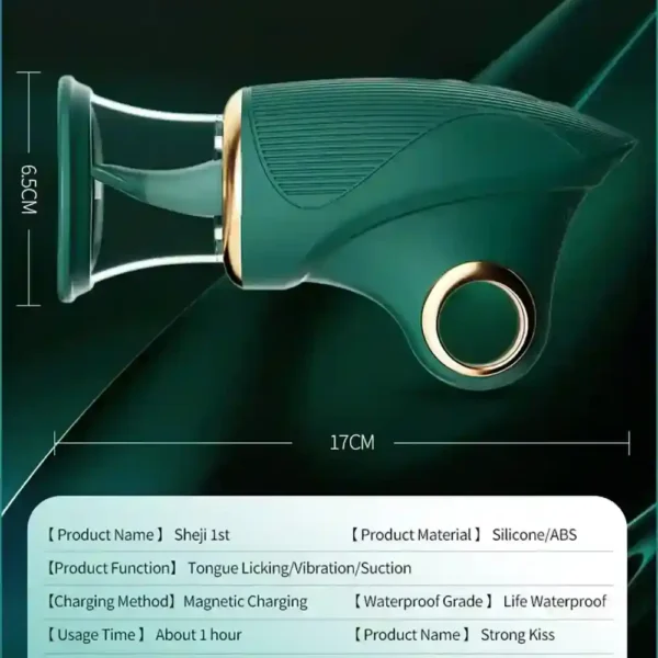 internal external stimulation vibrator