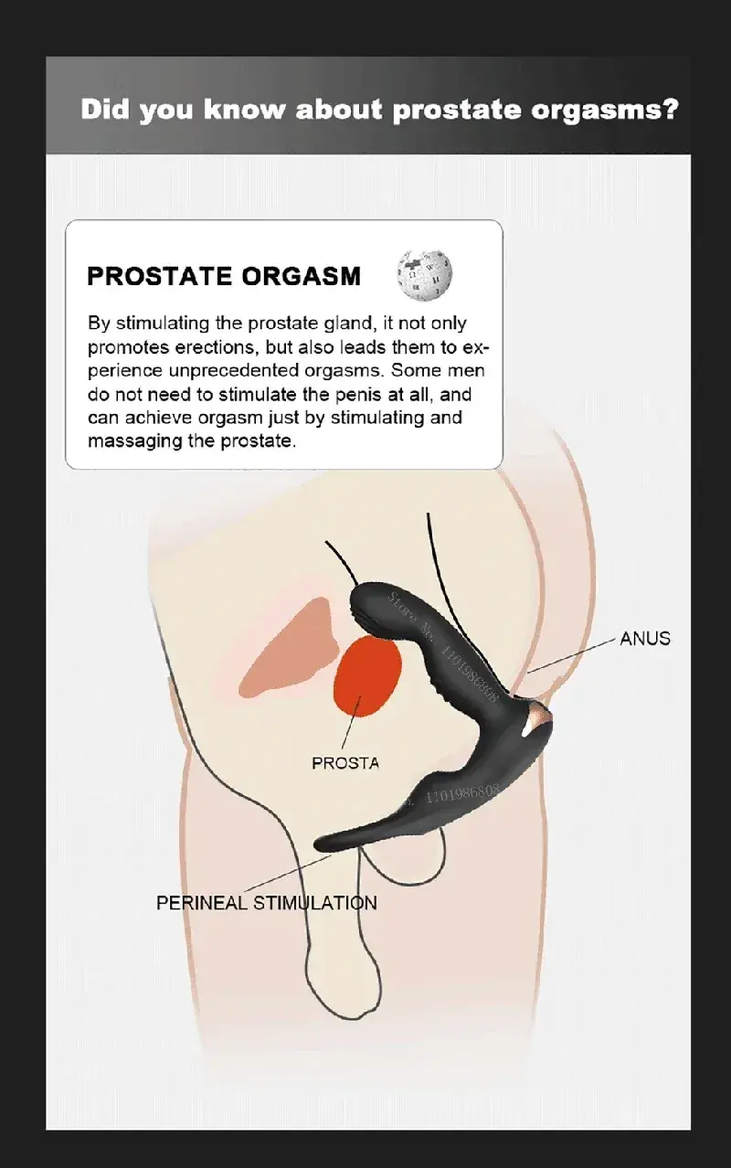 isensualflow net prostate orgasms dildo for men