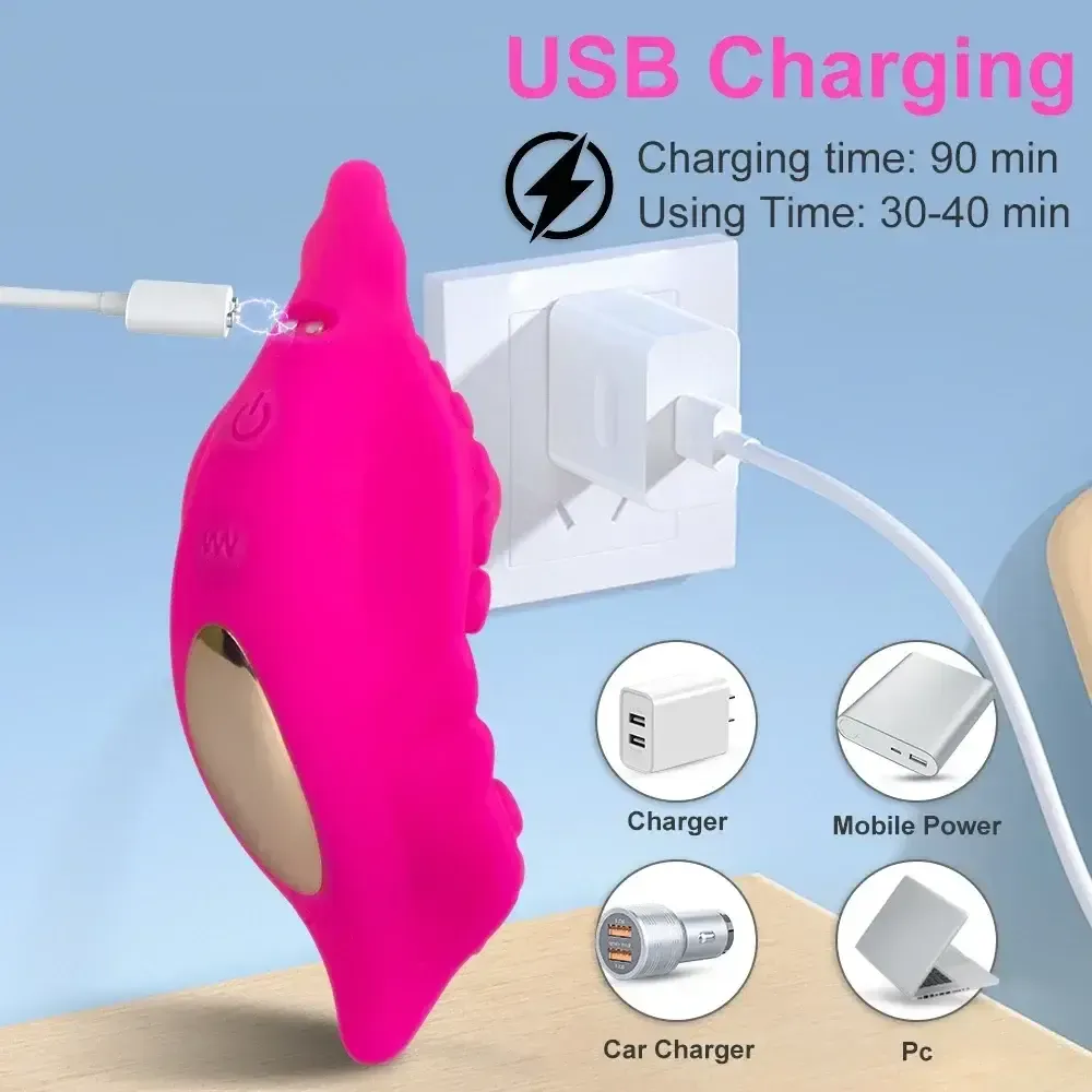 multiple vibration modes vibrator