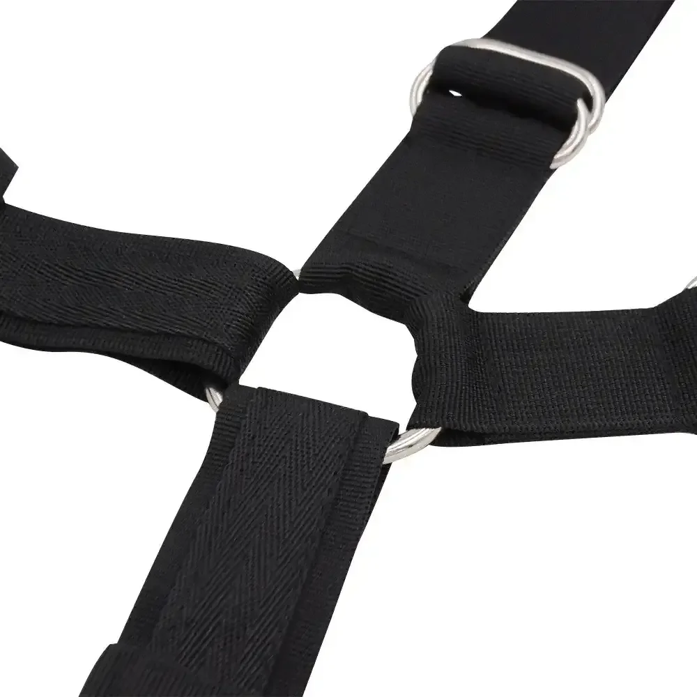 padded nylon straps adult play