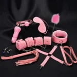 pink bdsm adventure play set