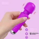 rechargeable nipple wand massager