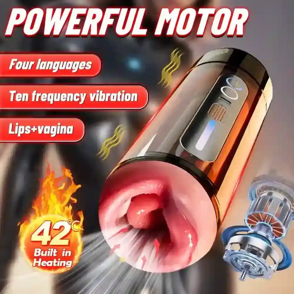 transparent shell voice interactive toy