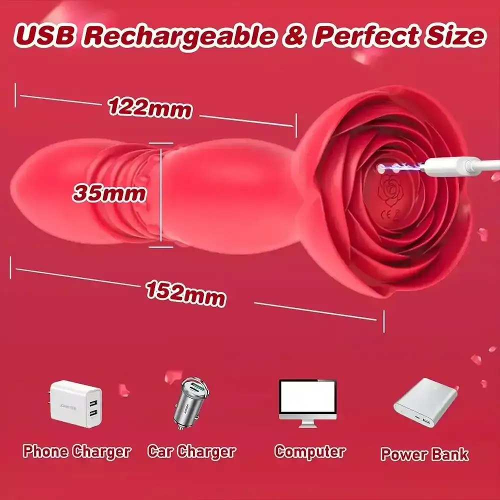 usb rechargeable rose anal toy