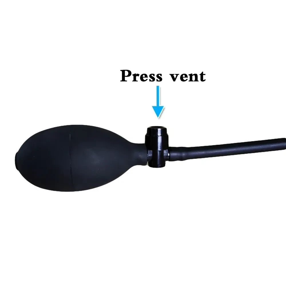 vaginal anal insertion inflatable plug